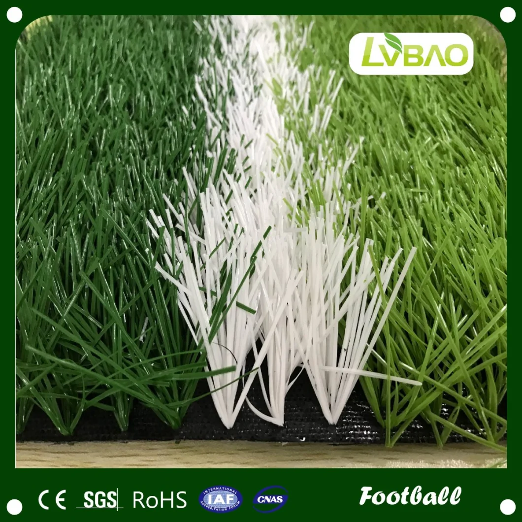 LVBAO High Density Customized 10mm Height Artificial Grass Gym Turf