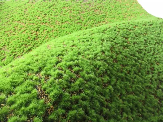 Tappetino in muschio artificiale per prato artificiale con muschio verde da parete per piante di muschio finto per la decorazione della parete